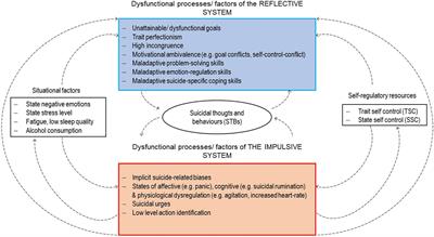 Understanding suicidal pathways through the lens of a Dual-System Model of Suicidality in real-time: The potential of ecological momentary assessments